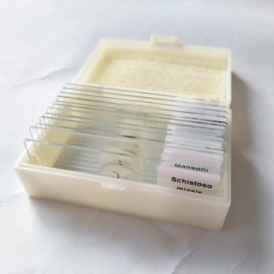 China Student& Teachers Educational Equipment Students Biological Microscope Prepared Slides for sale