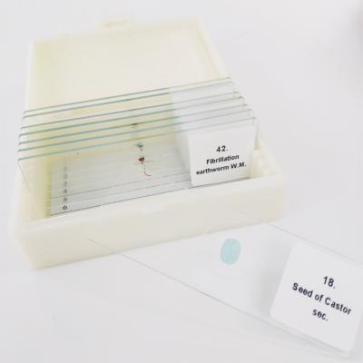 China Microscope Accessories 30 Kinds of Plant Cells Botany Promotion Prepared Microscope Slides Set for sale