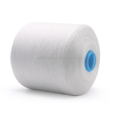 China 100% Polyester Yarn from OEM 20/2 30/2 40/2 50/3 for 100-500g for sale