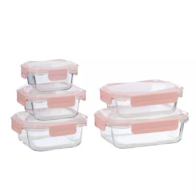 China Sustainable Wholesale Glass Container Lunch Box Storage Boxes Storage Container for sale