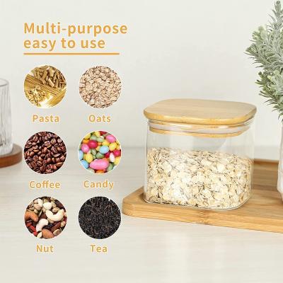 China Sustainable Glass Terrarium with Lid, Spice, Tea, Flour and Sugar Container, Canister Set for Kitchen Counter for sale