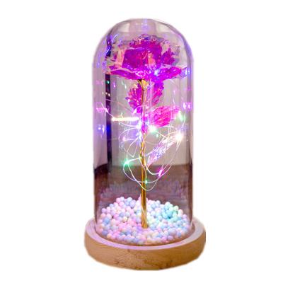 China Valentine's Day Gift Rose In Glass Cover Eternal Plastic Flowers With Lights for sale