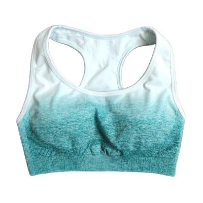 China European and American Hot Gradient Yoga Sports Bra Shockproof QUICK-DRY Push Up Seamless Vest Bra For Women for sale