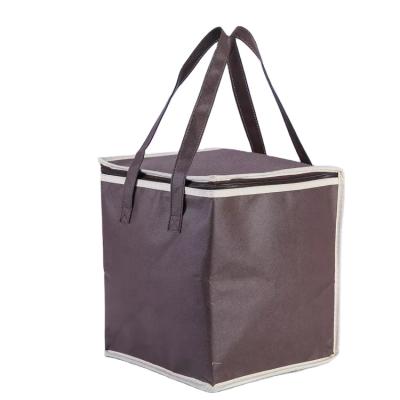 China Non Woven Insulated Delivery Cooler Bag Reusable Insulated Food Cooler Bag for sale