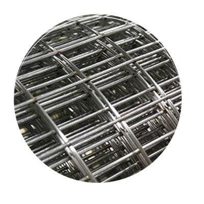 China Plain Weave Stain Supplies Hot Dip Galvanized Welded Wire Mesh For Pig Farm for sale