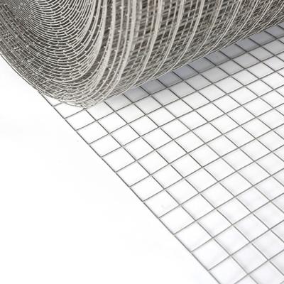 China High Quality 1x1 Plain Weave Welded Wire Mesh Rolls For Chicken Fence Wire Mesh for sale