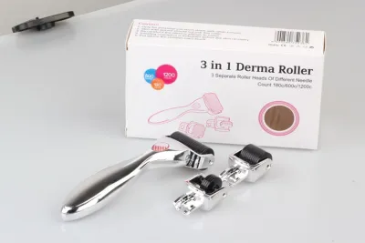 China OEM/ODM customized brand 3 In 1 Drs Derma Roller For Anti Aging Stainless Steel Titanium for sale