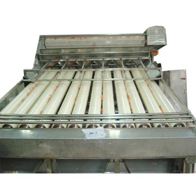 China Vegetable Processing Plant 12 Rollers 18 Rollers 304 Stainless Steel Shrimp Grading Sorting Machine for sale