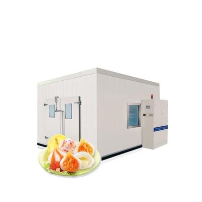 China Small Container Blast Freezer Cold Room Air Chicken Blast Freezer Freezer Room for sale