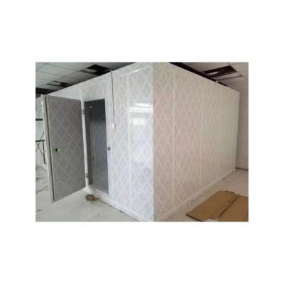 China Container 5 Ton Blast Freezer Walk In Freezer Cold Storage Room Wall Panel For Fish Long Life for sale