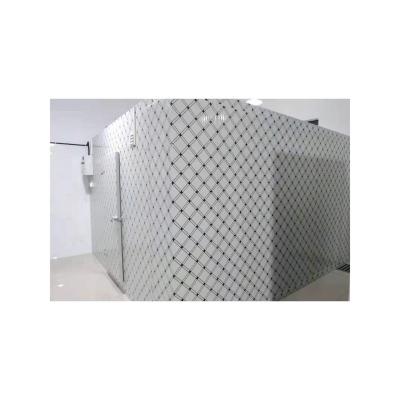 China Cold room and container walk in freezer for all kinds of fruits and vegetables cold room for sale