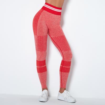 China Hot Selling Seamless Quick-drying Knitted Sports Breathable Running Striped Fitness Yoga Pants for sale