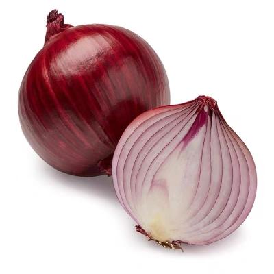 China New Fresh Chinese Season Round Onion 5-7cm Red Fresh Yellow Onion / China Origin for sale