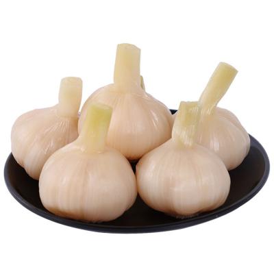 China Whole sour pickled garlic PRESERVED sweet garlic in good brine preserved garlic for sale