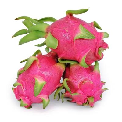 China Rich Vitamin Vietnam Fresh Dragon Fruit Wholesale Pitaya Fruit Vietnam for sale