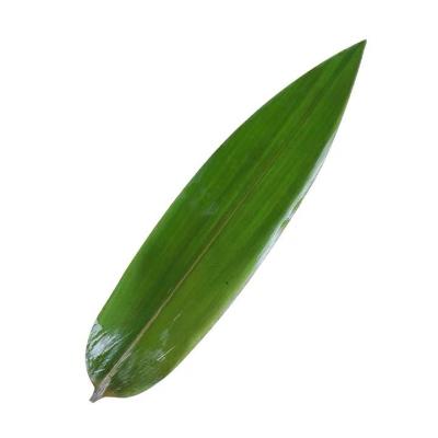 China Eco-friendly Chinese Green Fresh Sushi Decoration Factory Price Serving Bamboo Sushi Sheets for sale