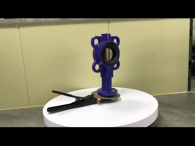 2 Inch Handle Wafer Type Cast Iron Manual Butterfly Valve