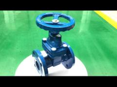 DN50 PN10 Ductile Iron Cast Steel Stainless Steel No Rise Stem Manual Gate Valve