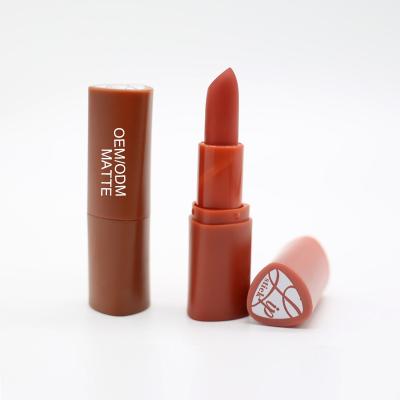 China LS11 COSMETICS Waterproof FAIRY Stick Shape And Lips Use Lip Cream Full Pigment Matte Lip Stick for sale