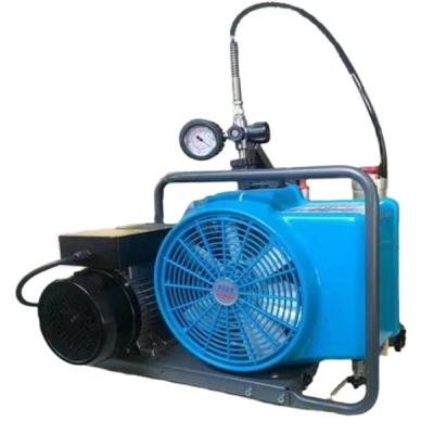 China Other Competitive Price Quality and Quantity Assured Fast-Sufficiency Portable Compressor for sale