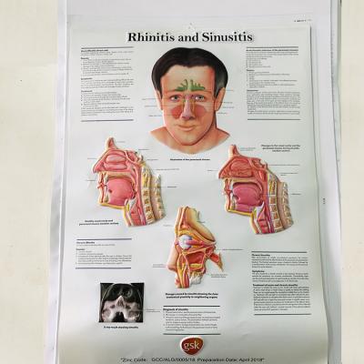 China 2020 PVC Custom 3d Newcomers Embossed Poster Printing Medical Posters for sale