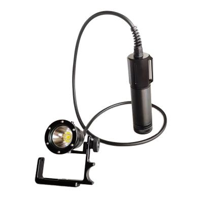 China Separately DL-D08P Professional XHP70 Canister Exploring 4000 Lumens Underwater Dive Light for sale