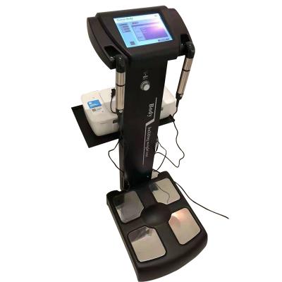 China Professional Body Composition Analyzer Gym Equipment Body Composition Analyzer Price for sale