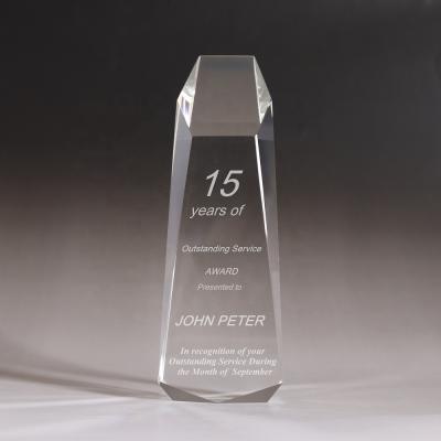 China Health care institute new design BM-1016 shape trophy award hot domination crystal plate for sale