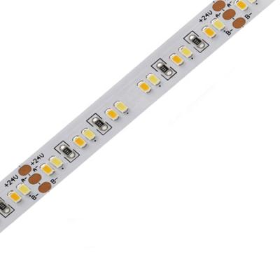 China LANDSCAPE 10mm Wide 240 LED Per Meter CRI90 12V 24V Dual CCT White Adjustable Led Strip for sale