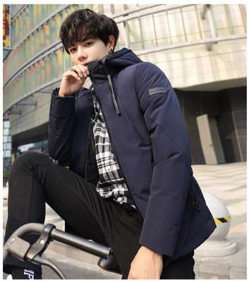 China Wholesale High Quality Waterproof Cotton Padded Winter Rose Jacket For Men for sale