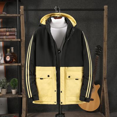 China Wholesale Men's Hooded Coat Fashion Style Waterproof Winter Down Jacket Cotton Jacket, Softshell Cotton Jacket for sale