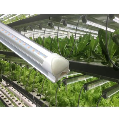 China Seed Starting Plant Growing Hot Sale 18W 24W T8 LED Tube Greenhouse Hydroponics Horticulture Full Spectrum Grow Tube Light for sale