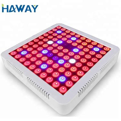 China Indoor Garden Green House Hot Selling Chinese Rohs Led Aquarium Light for sale