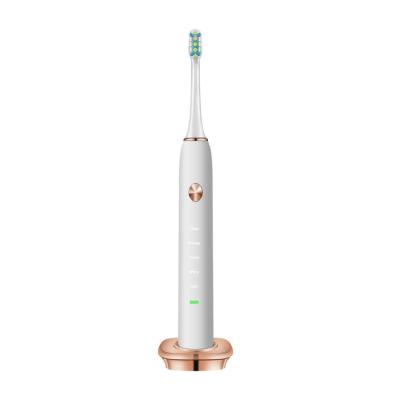 China New Arrival Disposable Oral Care 5 Deep Cleaning Modes Approved Rechargeable Automatic Sonic Electric Toothbrush for sale