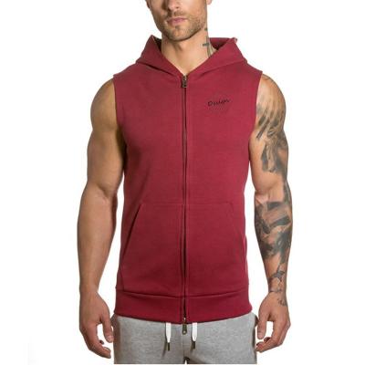 China Wholesale Custom Gray Double Zipper Gym Sleeveless White YS0516C LOGO Full Zip Up Hoodie Anti-pilling Hoodie For Men for sale