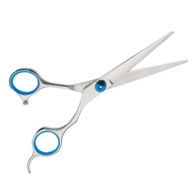 China Scissors Set Barber Set Silver Customized Professional Beauty Hair Tools for sale