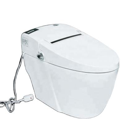 China Automatic Operation E&F Bathroom Tank Lavatory Smart Automatic Toilet Prices Ceramic Hidden Toilet With Remote Control for sale