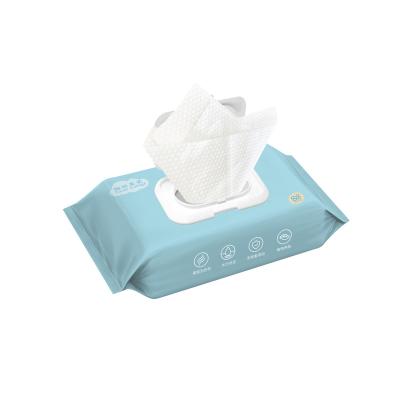 China Special Cleaning Nonwoven Wet Paper Towel With Cover For Newborns for sale