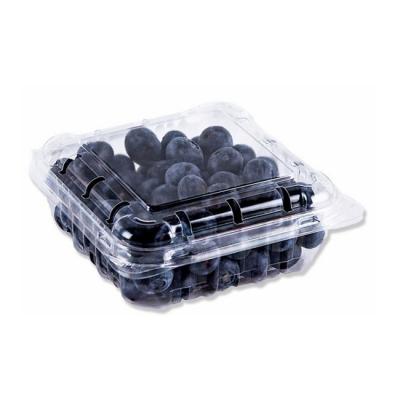 China Food Grade 125ml Blueberry Disposable Environmental Friendly Transparent Box for sale