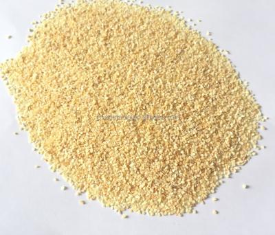 China High Quality Dry Garlic Cube Dehydrated Granule 16-26mesh for sale