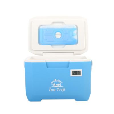 China Outdoor Line Small Cooler Bag Extra Large Waterproof Plastic Hard Car Temperature Display Box for sale