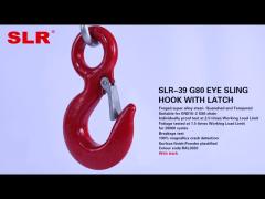 SLR039-G80 EYE HOOK WITH LATCH