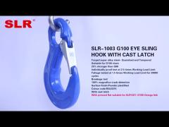 SLR1003-G100 EYE SLIP HOOK WITH CAST LATCH