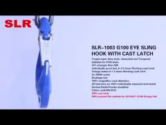 SLR1003-G100 EYE SLIP HOOK WITH CAST LATCH