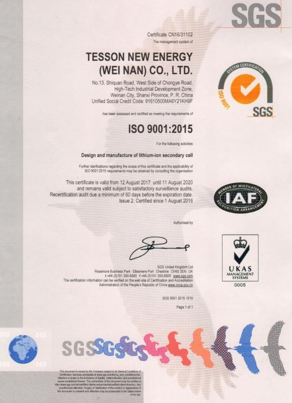 ISO9001:2015 - Shaanxi Tesson New Energy Co., Ltd.