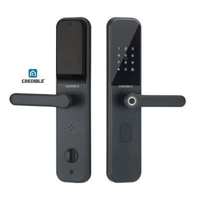 China Waterproof Wifi Tuya Digital Smart Electronic Intelligent Fingerprint Bedroom Smart Door Lock for sale