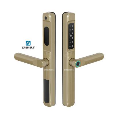 China Guangdong-hyh Smart Home Hardware Digital Smart Home Lock TTlock APP Fingerprint Passcode Card Waterproof Smart Door Locks for sale