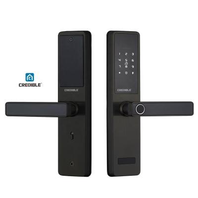 China Tuya TTlock Smart Entry Digital Cerradura Fechadura Waterproof WiFi Biometric Fingerprint Keyless Door Lock for sale