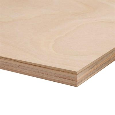 China Contemporary Plywood Manufacturer Black Walnut Plywood With Good Quality for sale