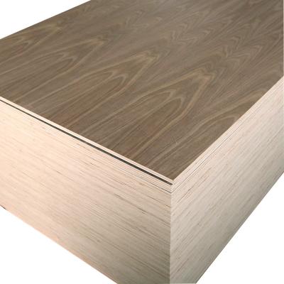 China Traditional Hot Selling Laminate MDF Board Black Walnut Plywood With Low Price for sale